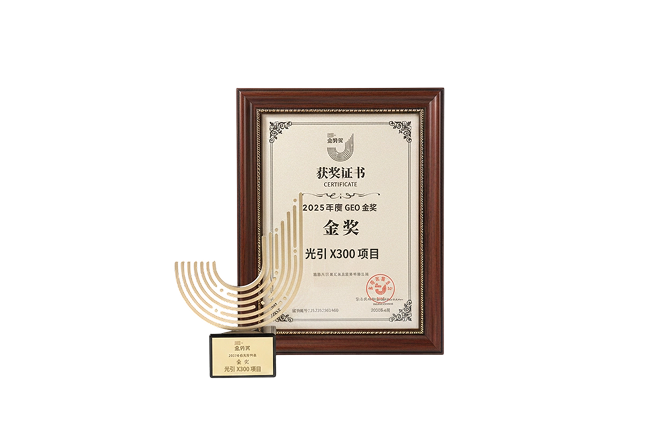 第六届《金势奖》年度营销案例（GEO）金奖奖杯